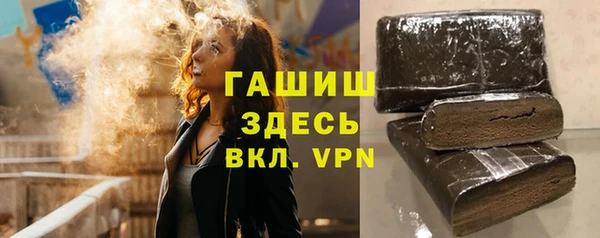 шишки Надым