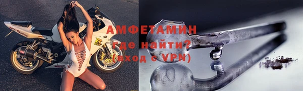 шишки Надым