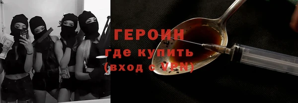 шишки Надым