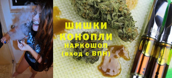 шишки Надым