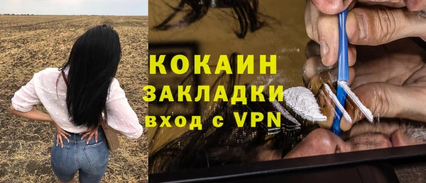шишки Надым