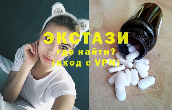 шишки Надым