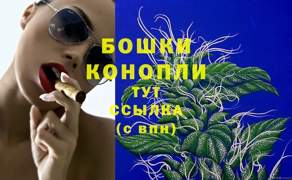 шишки Надым