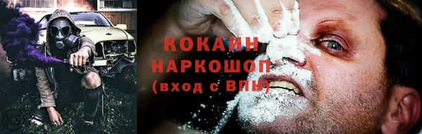 шишки Надым