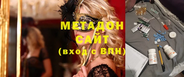 шишки Надым