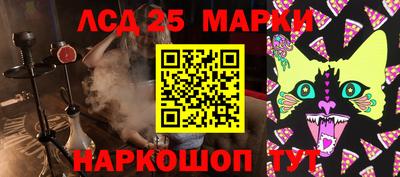 молекула духа Будённовск