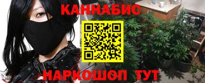 молекула духа Будённовск