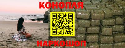 молекула духа Будённовск