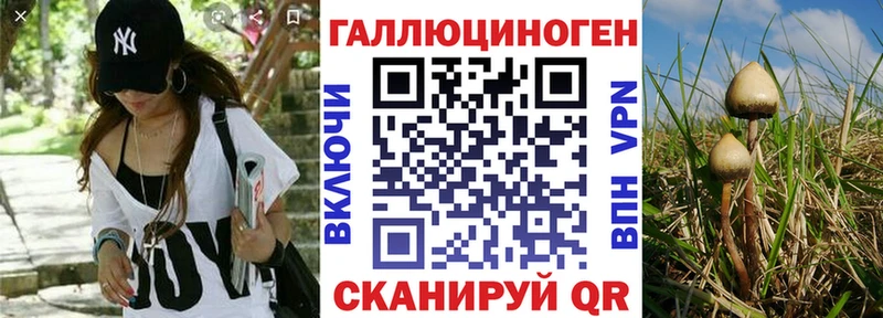 закладки  Люберцы  Галлюциногенные грибы мухоморы 
