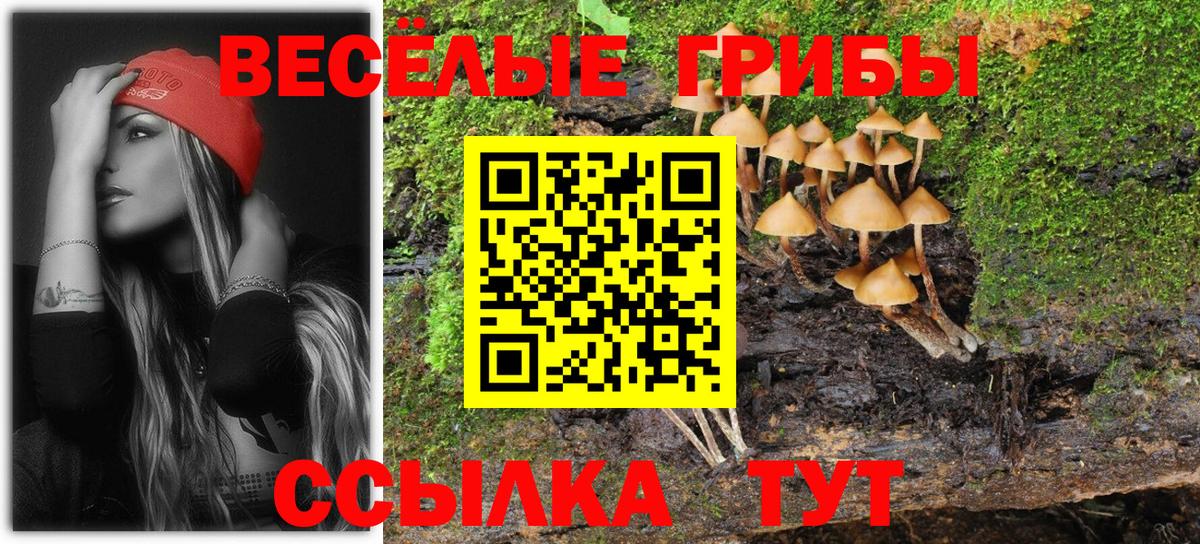 купить наркотик  Люберцы  Галлюциногенные грибы мухоморы 